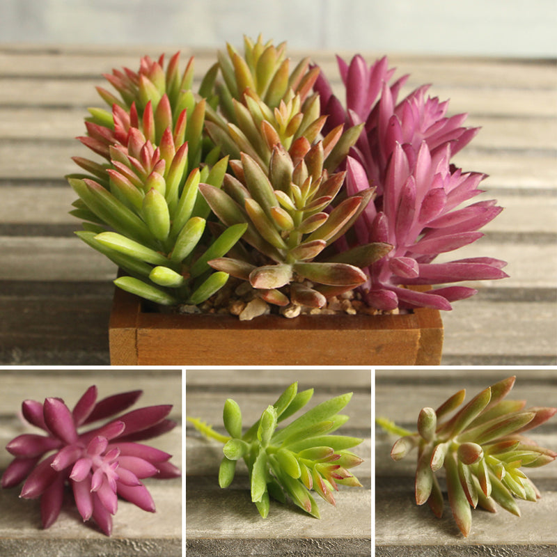 Snowflake Lotus Rare Plants Garden Succulent Grass Desert Artificial Plants Landscape Arrangement Garden Decor Cute Office