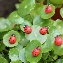 Artificial Ladybugs