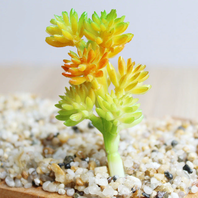 Mini Artificial Succulents Plants Fake Succulent Bonsai Plastic Succulent Flower Land Lotus Rare For Garden Home Office Decor