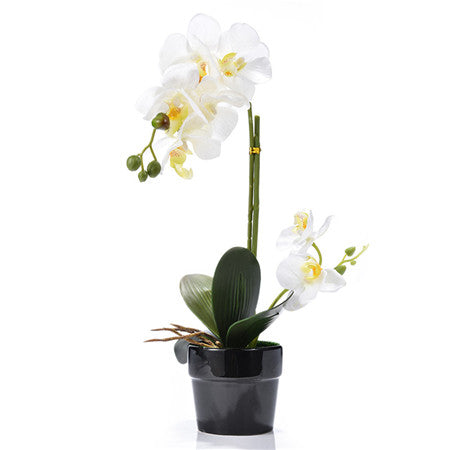 Artificial Orchid Flowers Real Touch Artificial Butterfly Orchid For Wedding Decoration Home Festival Decorative Flowers