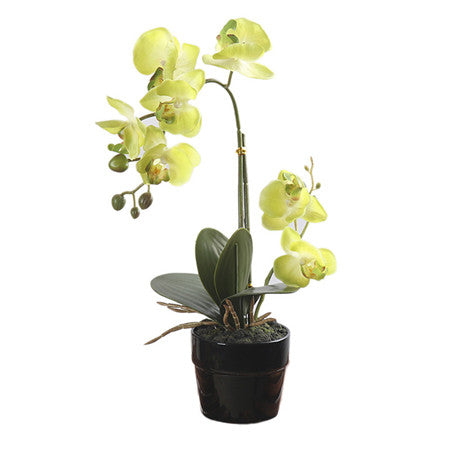 Artificial Orchid Flowers Real Touch Artificial Butterfly Orchid For Wedding Decoration Home Festival Decorative Flowers